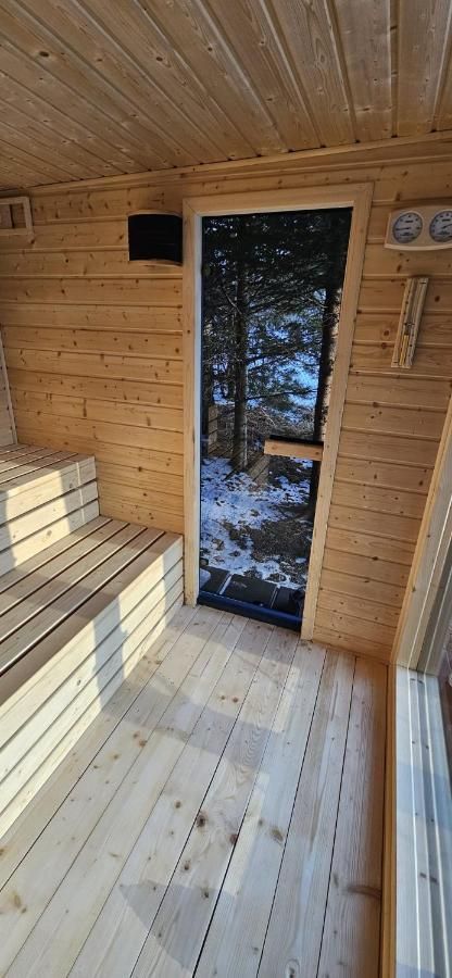 Drewniane wnętrze sauny z ławami i oknem na ośnieżony las